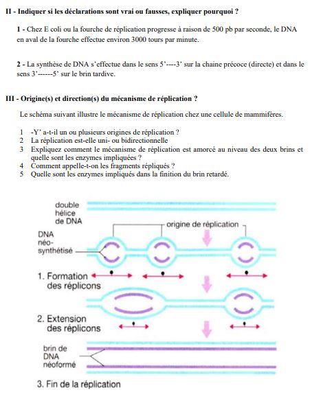 exercices corrigés et commentés de biologie moléculaire pdf et examen corrigé de biologie moléculaire pdf.