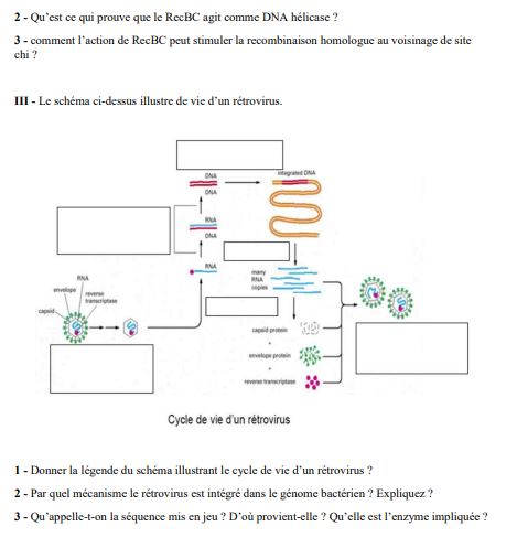 exercices corrigés et commentés de biologie moléculaire pdf et examen corrigé de biologie moléculaire pdf.